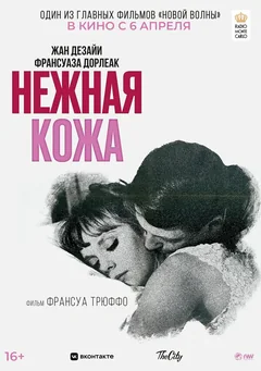 Фильм Нежная кожа (1964)