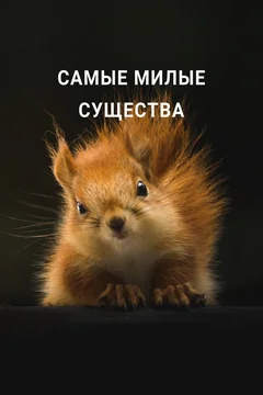 ТВ-шоу Самые милые существа (1 сезон)